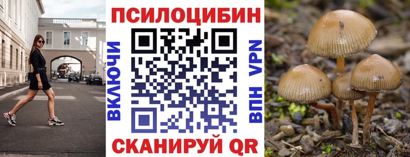 MEGA   Чудово  Псилоцибиновые грибы Magic Shrooms 